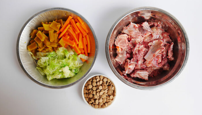 3 Foods to Repel Fleas and Ticks in Dogs