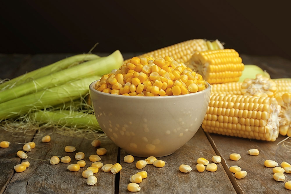 5 Common Ingredients to Avoid in Pet Foods